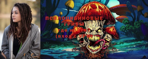спиды Арсеньев