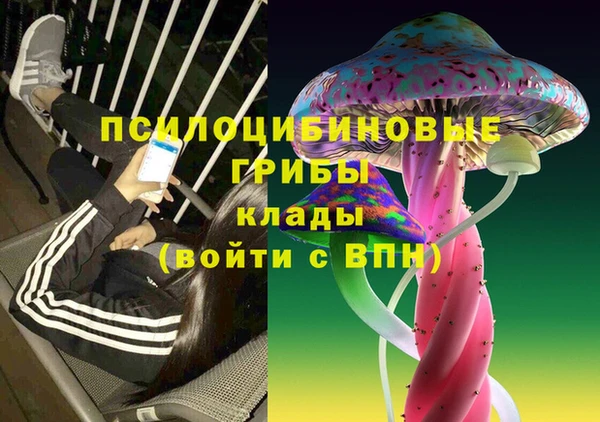 МДПВ Армянск