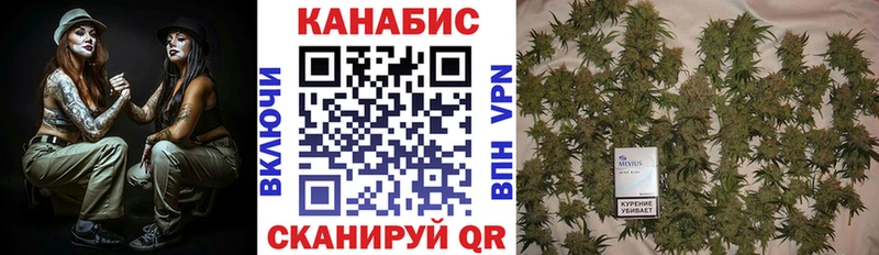закладка  Малоярославец  МАРИХУАНА гибрид 